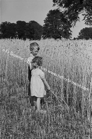 MACEVOY CHILDREN IN CORNFIELD